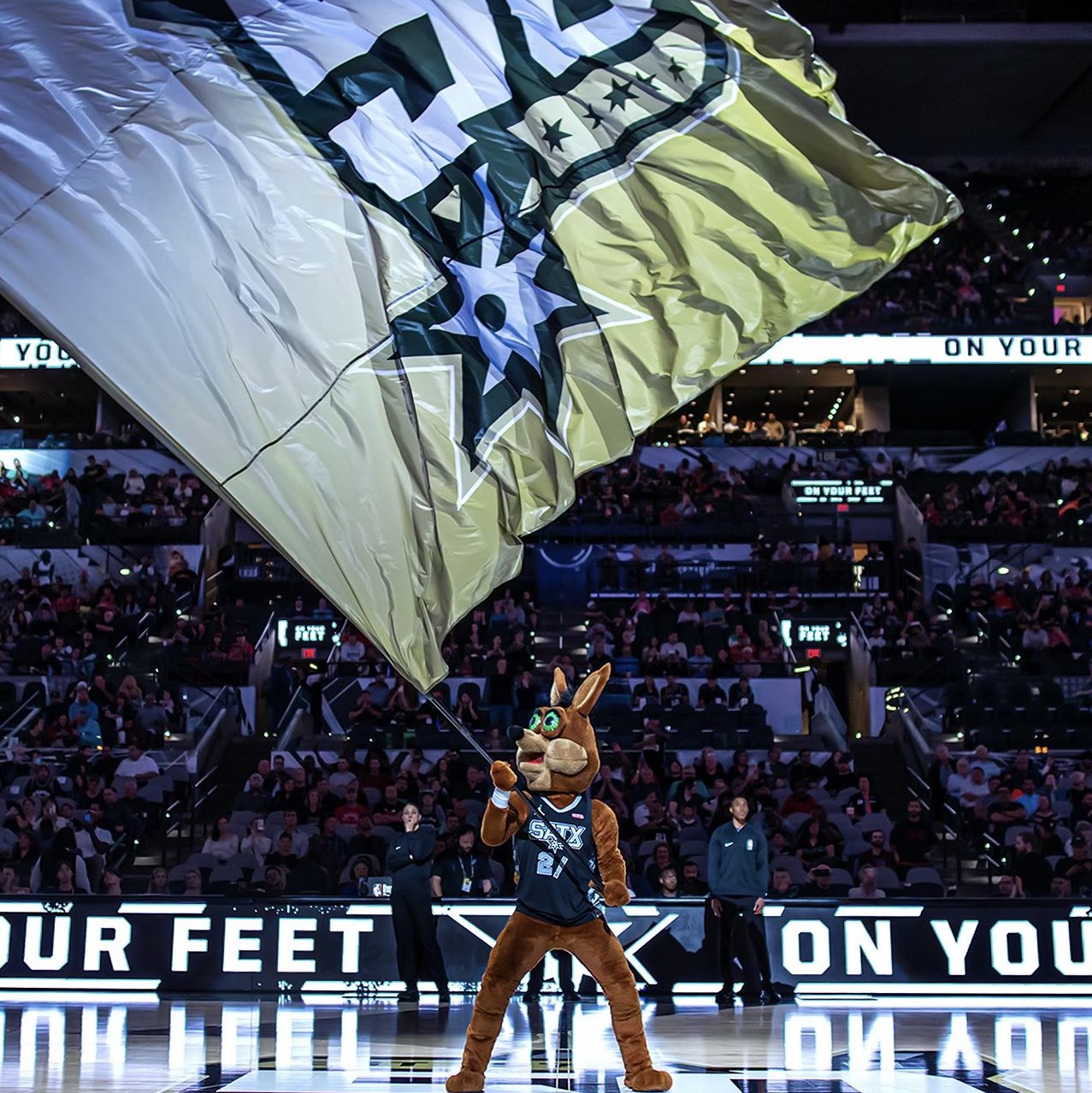 再次支持了 再次支持了